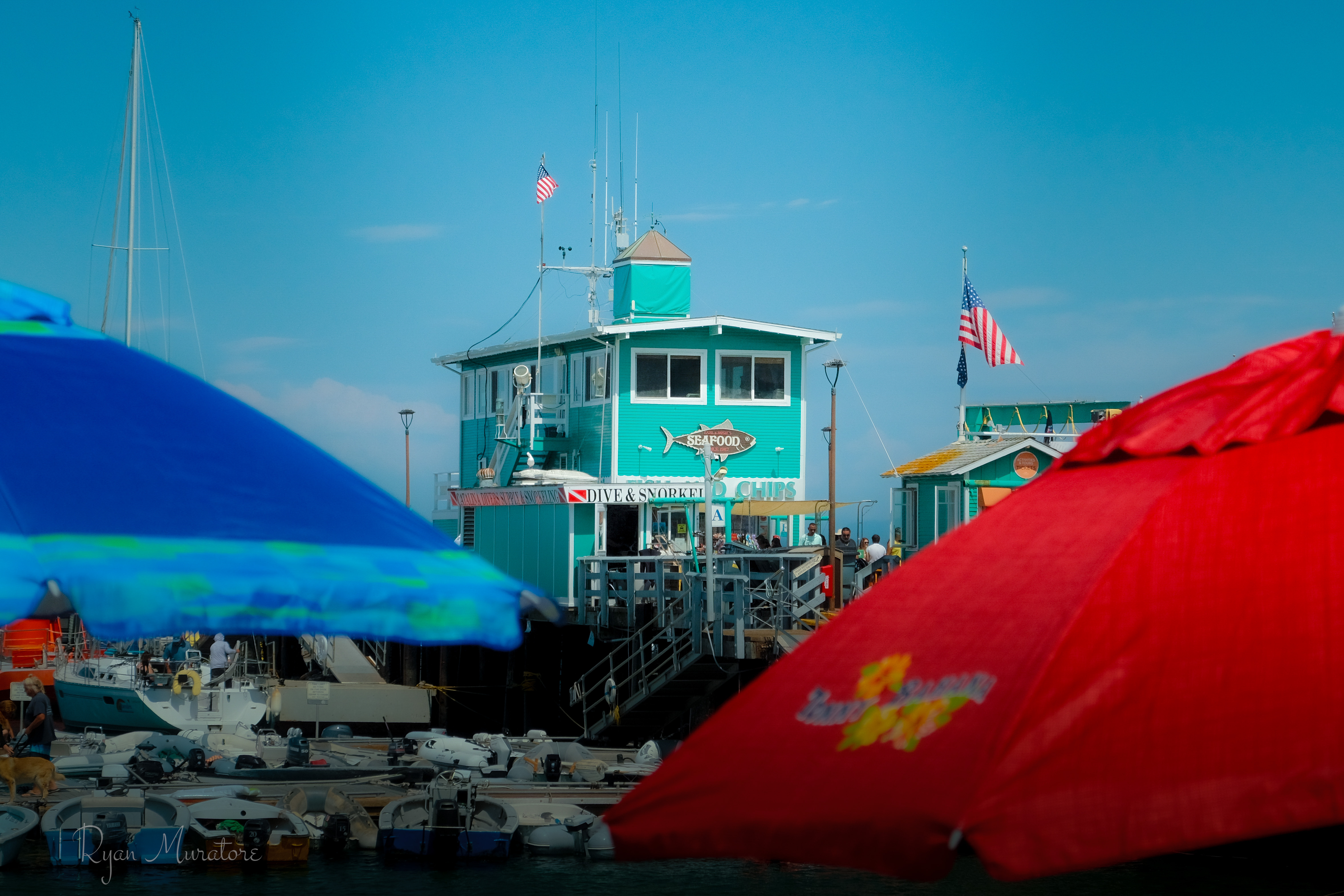 Afternoon at the Harbor